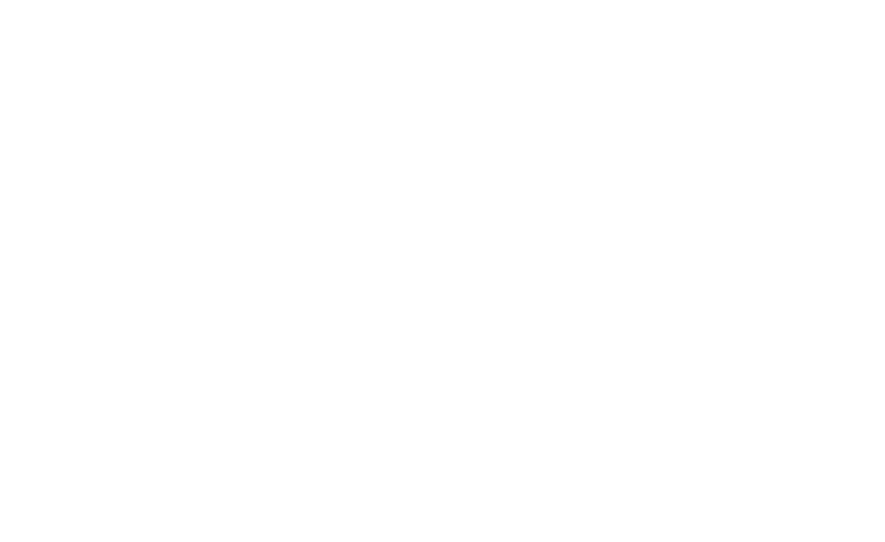 Secure IT White Logo
